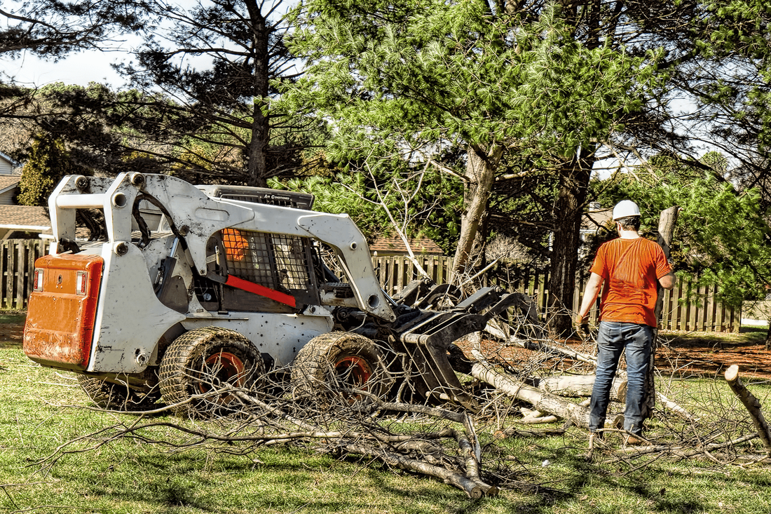 Local tree service company in Tacoma, WA - Comprehensive tree removal solutions for your needs
